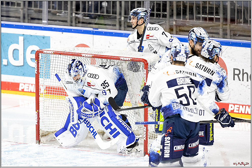 PENNY DEL;  Koelner Haie - ERC Ingolstadt; Koeln, 19.12.2021